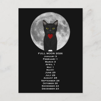 Pleine Lune Chat 2026 Carte Postale