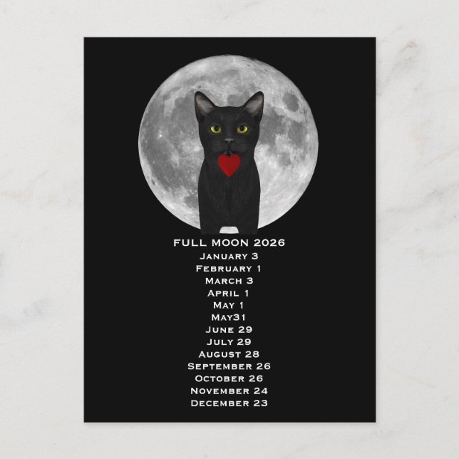 Pleine Lune Chat 2026 Carte Postale (Devant)