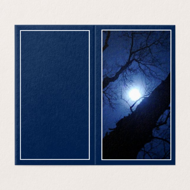 Pleine Lune de Minuit à Travers un Gros Arbre (Outside Unfolded)