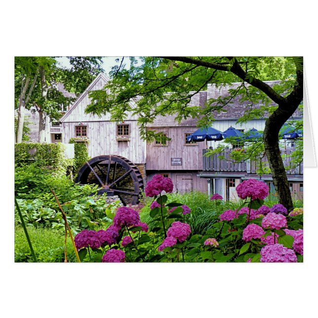 Plimoth Grist Mill à Jenney Pond en été (Devant horizontal)