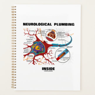 Plomberie neurologique à l'intérieur du neurone Sy