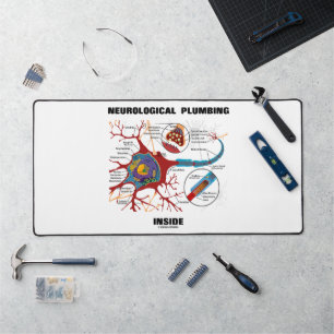 Plomberie neurologique à l'intérieur du neurone Sy