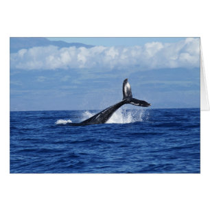 Plongée baleine en Océan, Fluke, Sortir de l'eau
