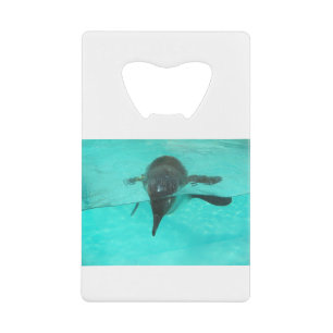 Plongée sous-marine