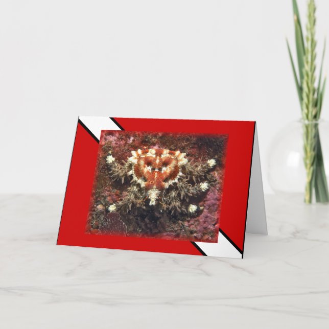 Plongée sous-marine Crabe du coeur - Carte (Devant)