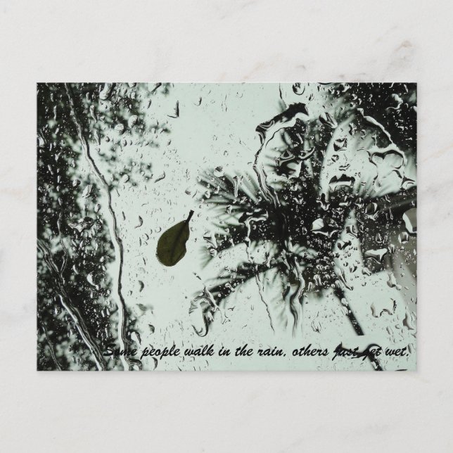 Pluie en Floride Carte postale (Devant)