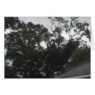 Pluie S'Éloigne