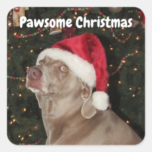 Pluie Stickers Weimaraner Père Noël Paws