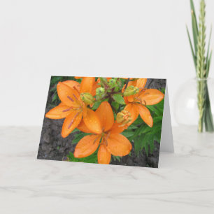 Pluie sur la carte de note vierge Lillies