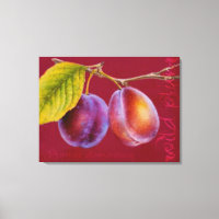 Plum sauvage - Prunus domestica toile d'art (rouge
