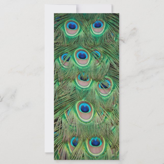 Plumage de paon (Devant)