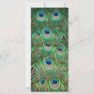 Plumage de paon