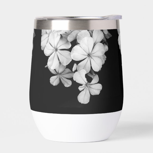 Plumbago n&b (Gauche)