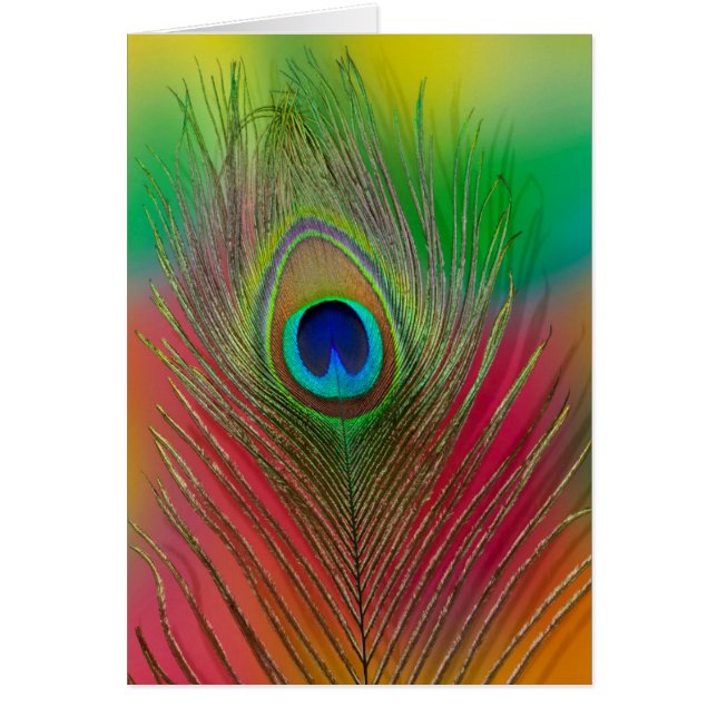 Plume de paon en gros plan (Devant)