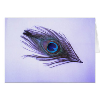 Plume pourpre de paon