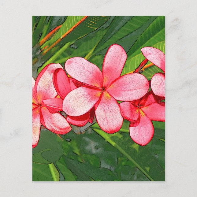 Plumeria (Devant)