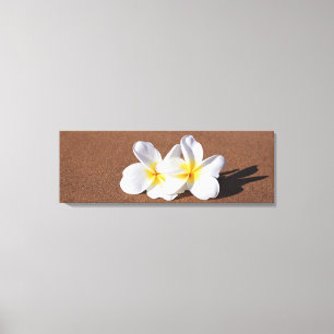 Plumeria blanc hawaïen sur la copie de toile de