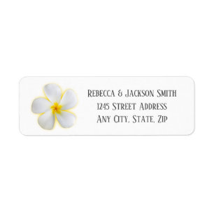 Plumeria blanche avec Jaune, Adresse, Étiquette