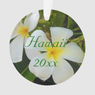 Plumeria d'Hawaï