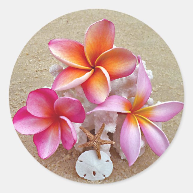 Plumeria et coquillages sur Sticker Sandy Beach (Devant)