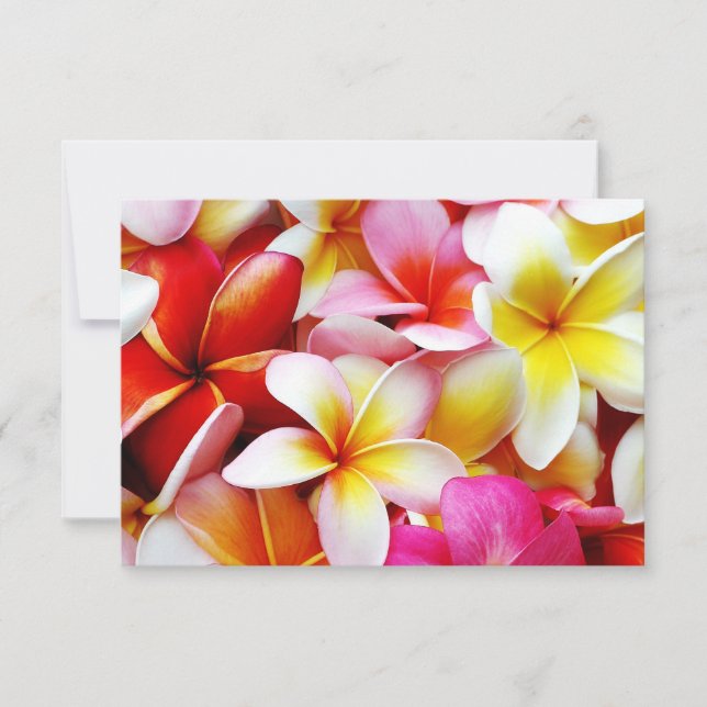 Plumeria Frangipani Hawaii Fleur Customisée (Devant)