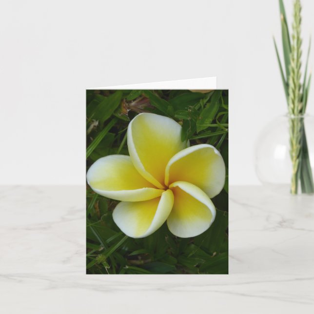 Plumeria hawaïenne jaune Carte de voeux pliée (Devant)