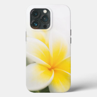 plumeria OtterBox coque iphone