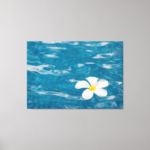 Plumeria Pool Toile Enveloppée Art