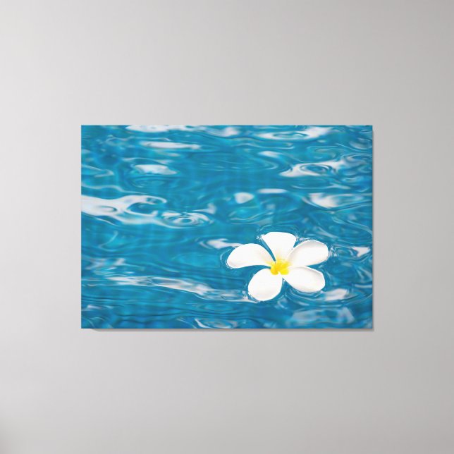 Plumeria Pool Toile Enveloppée Art (Recto)