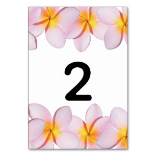 Plumeria rose Frangipani Mariage Numéro de table