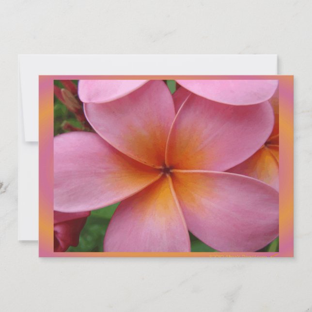 Plumeria rose hawaiienne Tropical Flower Blank (Devant)