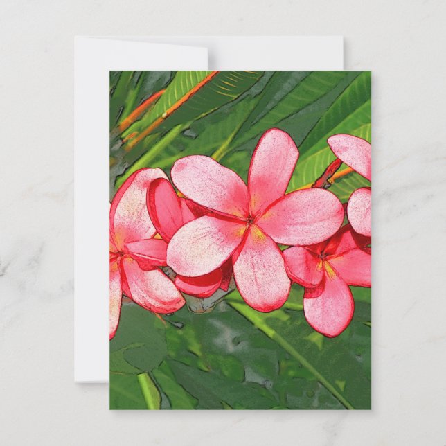 Plumerias (Devant)