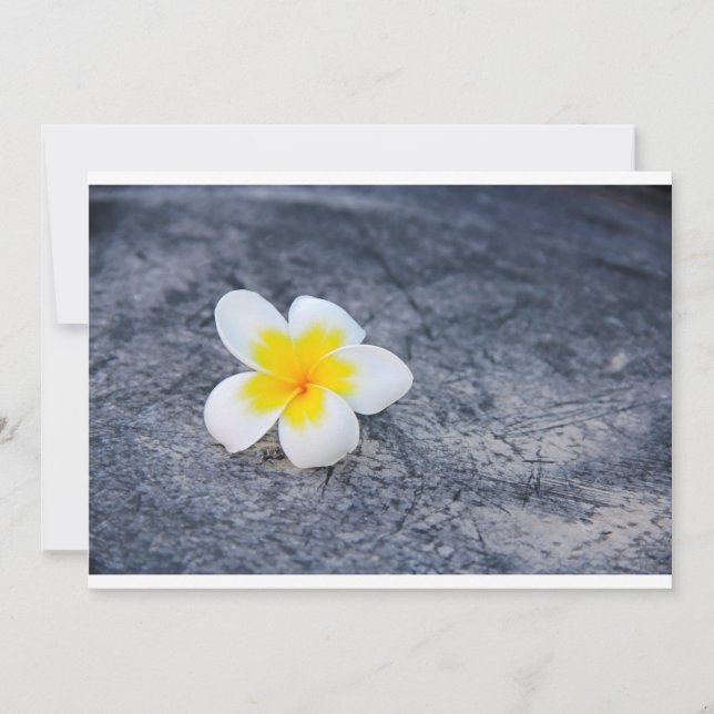 Plumerias (Devant)