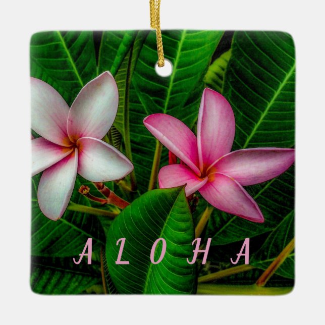 Plumerias en Ornement Blanc et Rose (Devant)