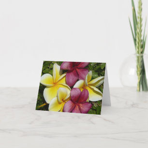 Plumerias hawaïennes colorées Carte de voeux pliée