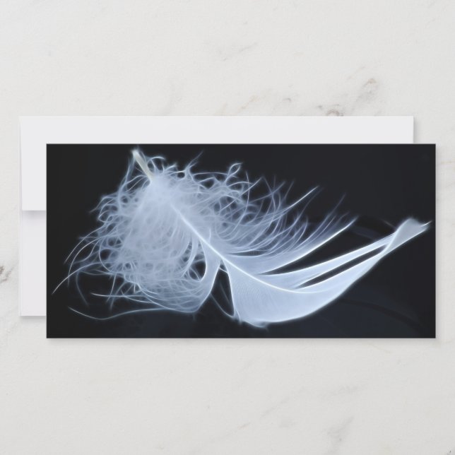 Plumes blanches - angélique par nature (Devant)