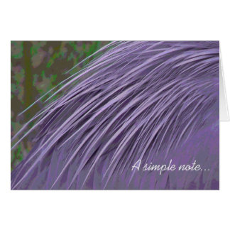 Plumes bleu lavande