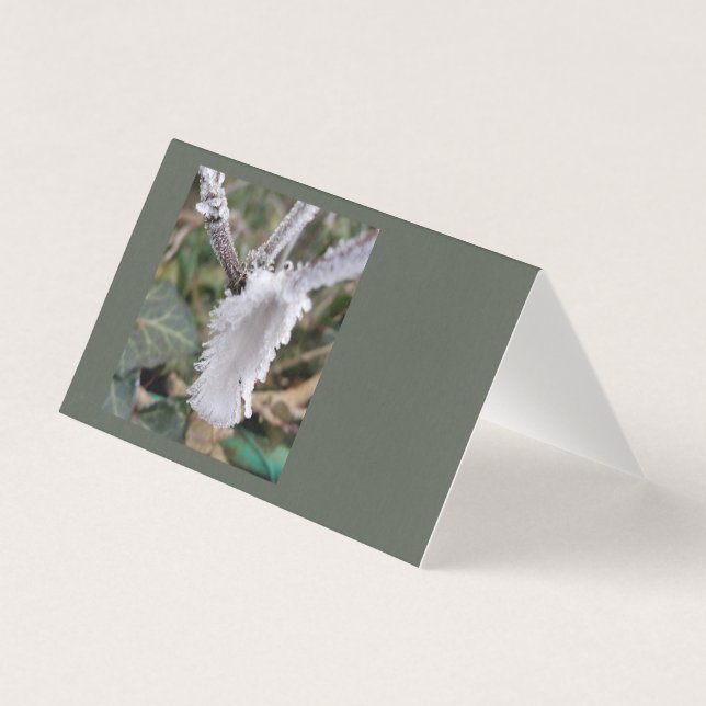 plumes congelées (Front)