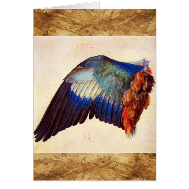 PLUMES D'AILE D'UN ROLLER EUROPÉEN (Devant)