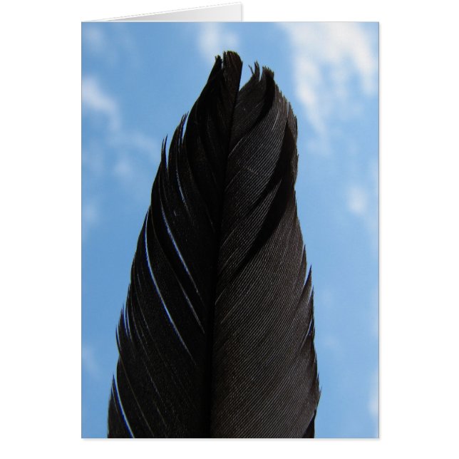 Plumes dans le ciel (Devant)