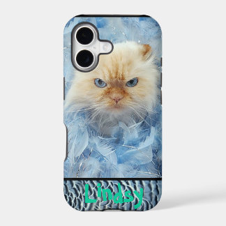 Plumes de chat de Kitty