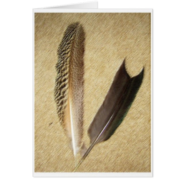 Plumes de faucon (Devant)
