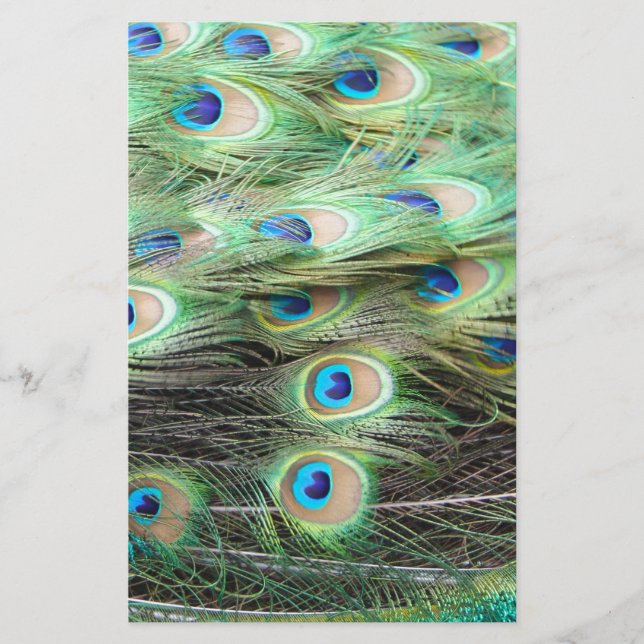 Plumes de paon (Devant)