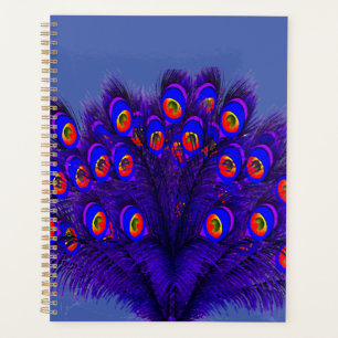 Plumes de paon