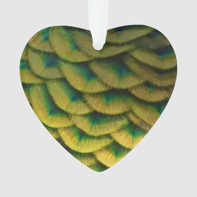 Plumes de paon II Nature colorée (devant)