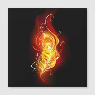 Plumes de paquetage de feu