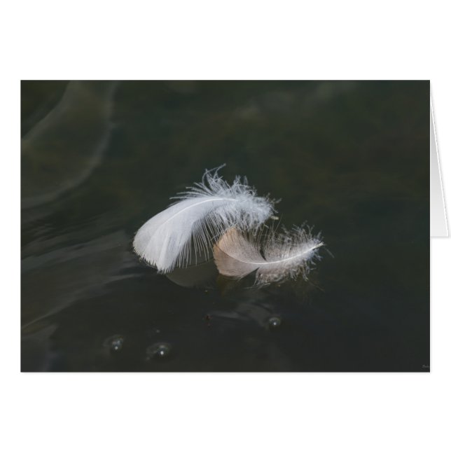 Plumes d'oie flottantes (Devant Horizontal)
