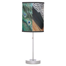 Plumes paons petits yeux