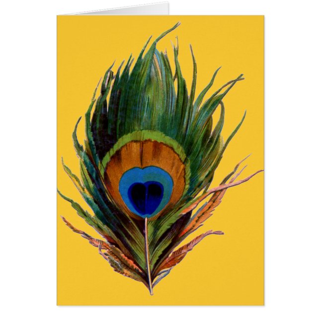 Plumes Peacock Antique (Devant)