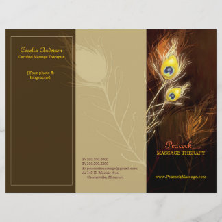 Plumes Peacock Or Tri Fold Brochures commerciales